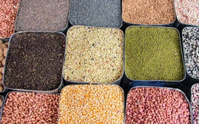 Pflanzliches Protein: Warum Hülsenfrüchte in die Großküche gehören